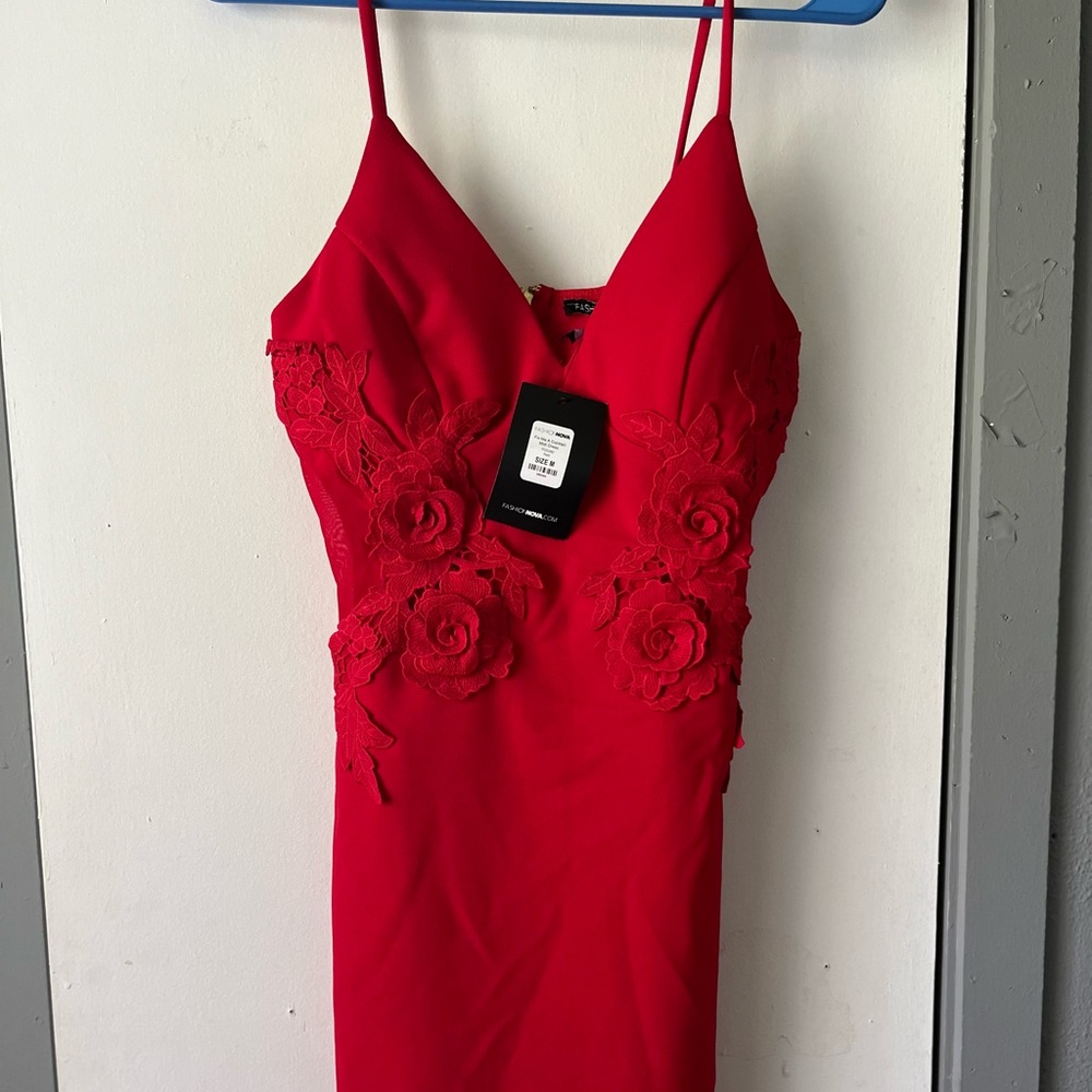 Fashion Nova Dress
